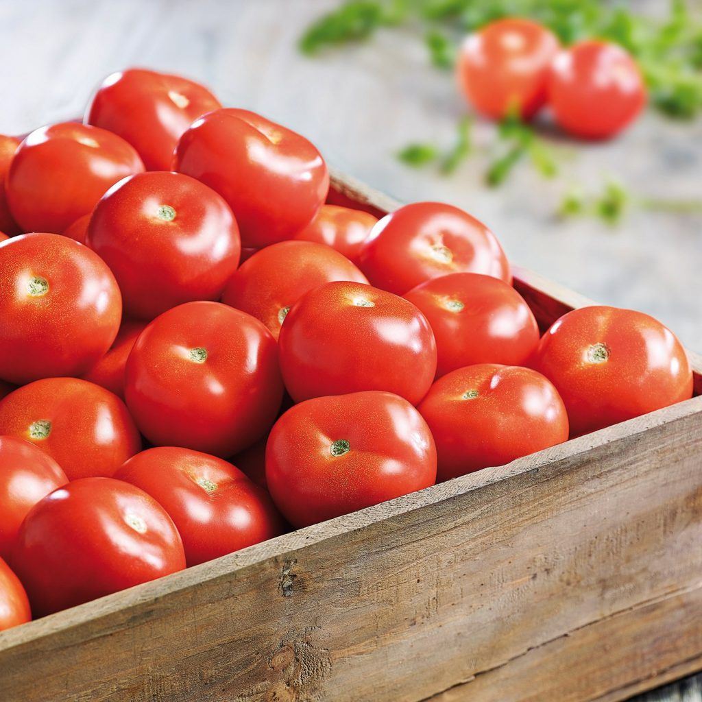 tomate para orzuelo interno